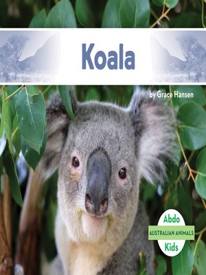 cover image of Koala 